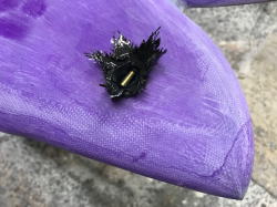 �I�[�o�[�z�[�� �p�x�� 20_11